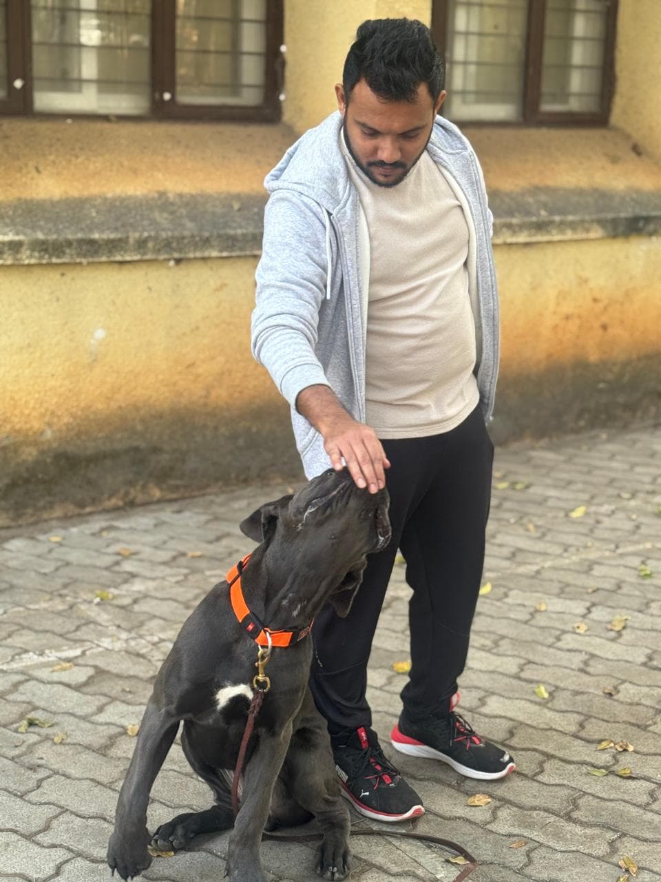 One-to-one obedience work with a large breed dog