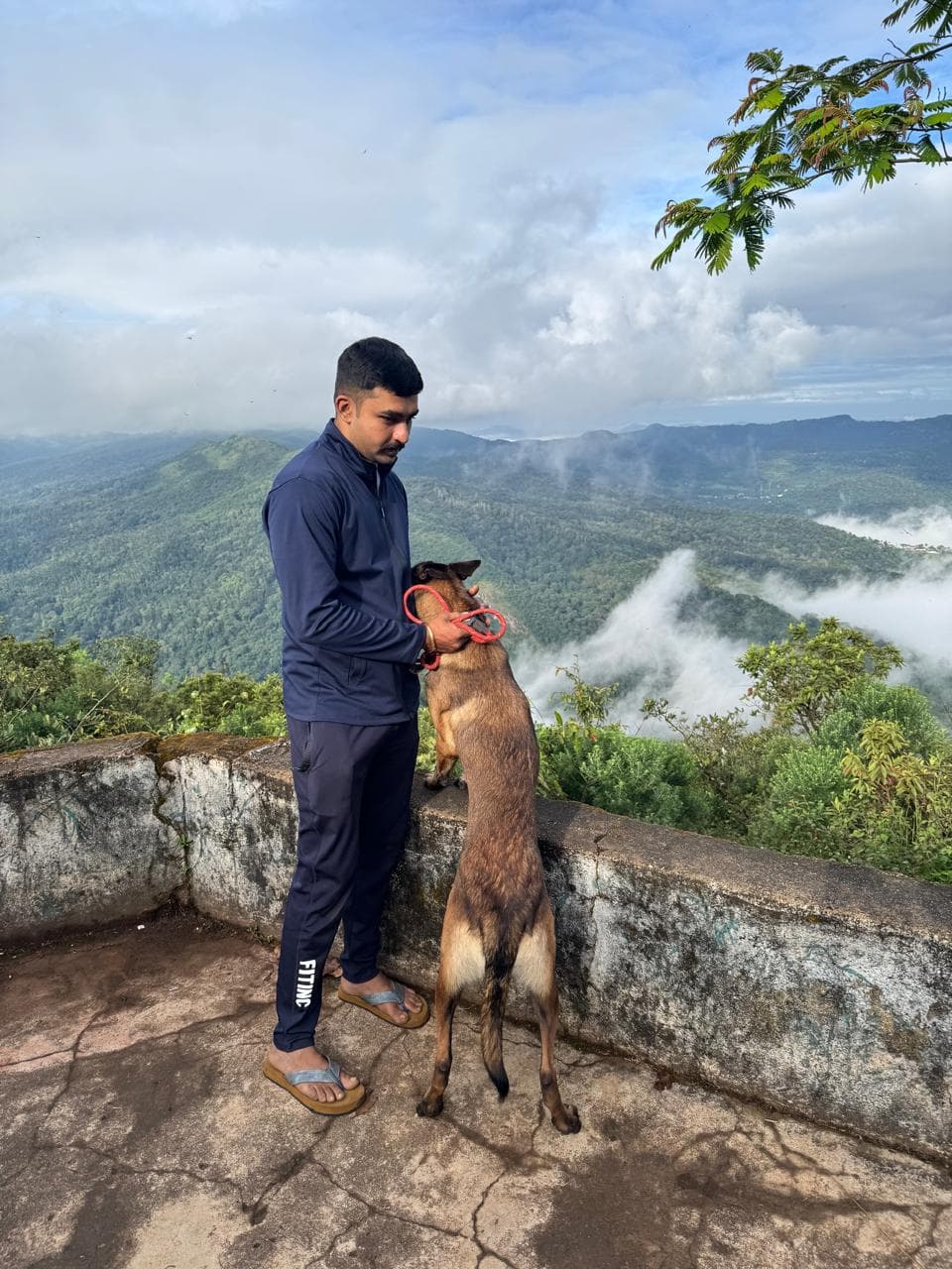 Hilltop tug play after a morning trek