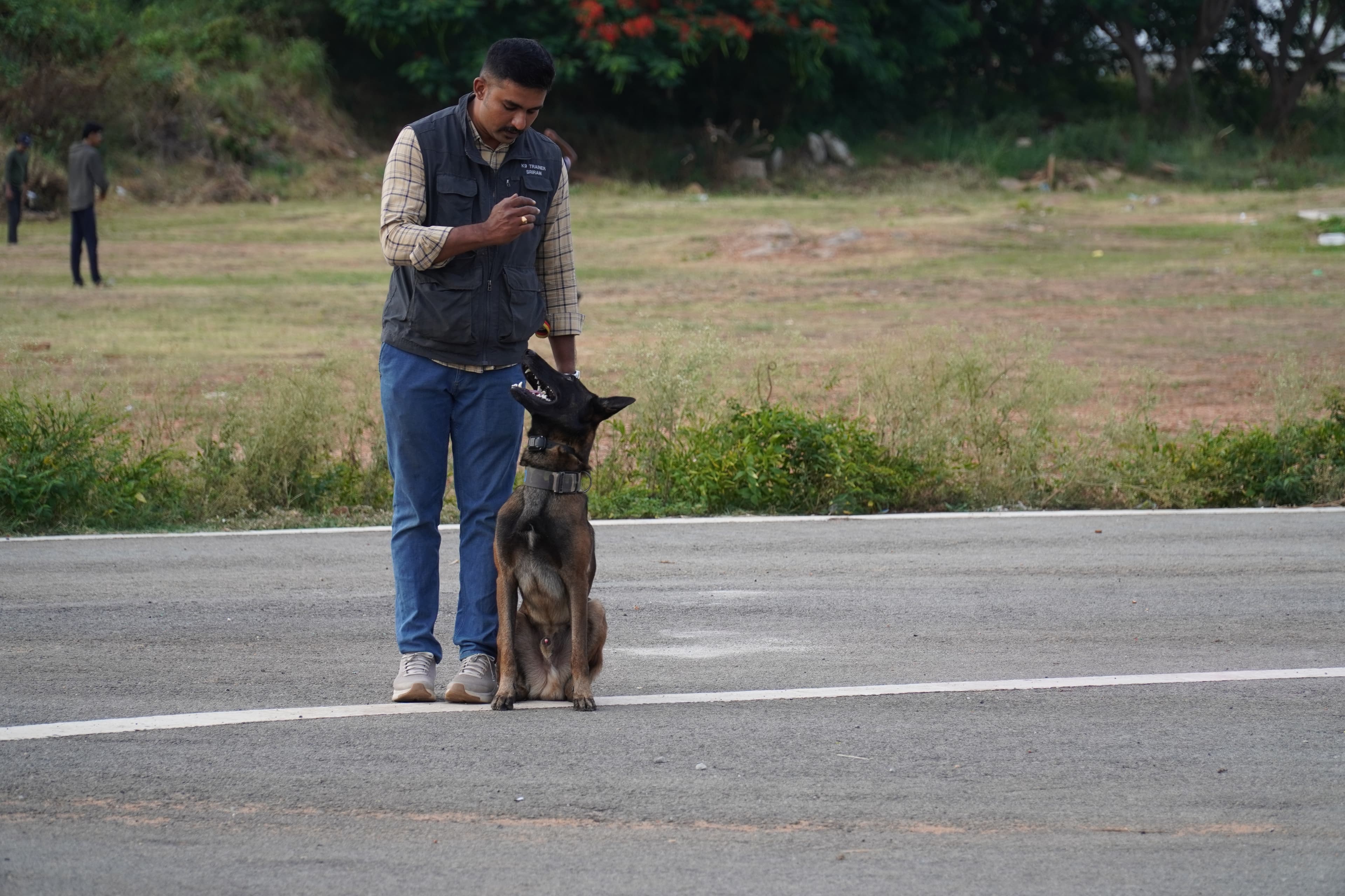 Trainer holding a Malinois in a focused sit