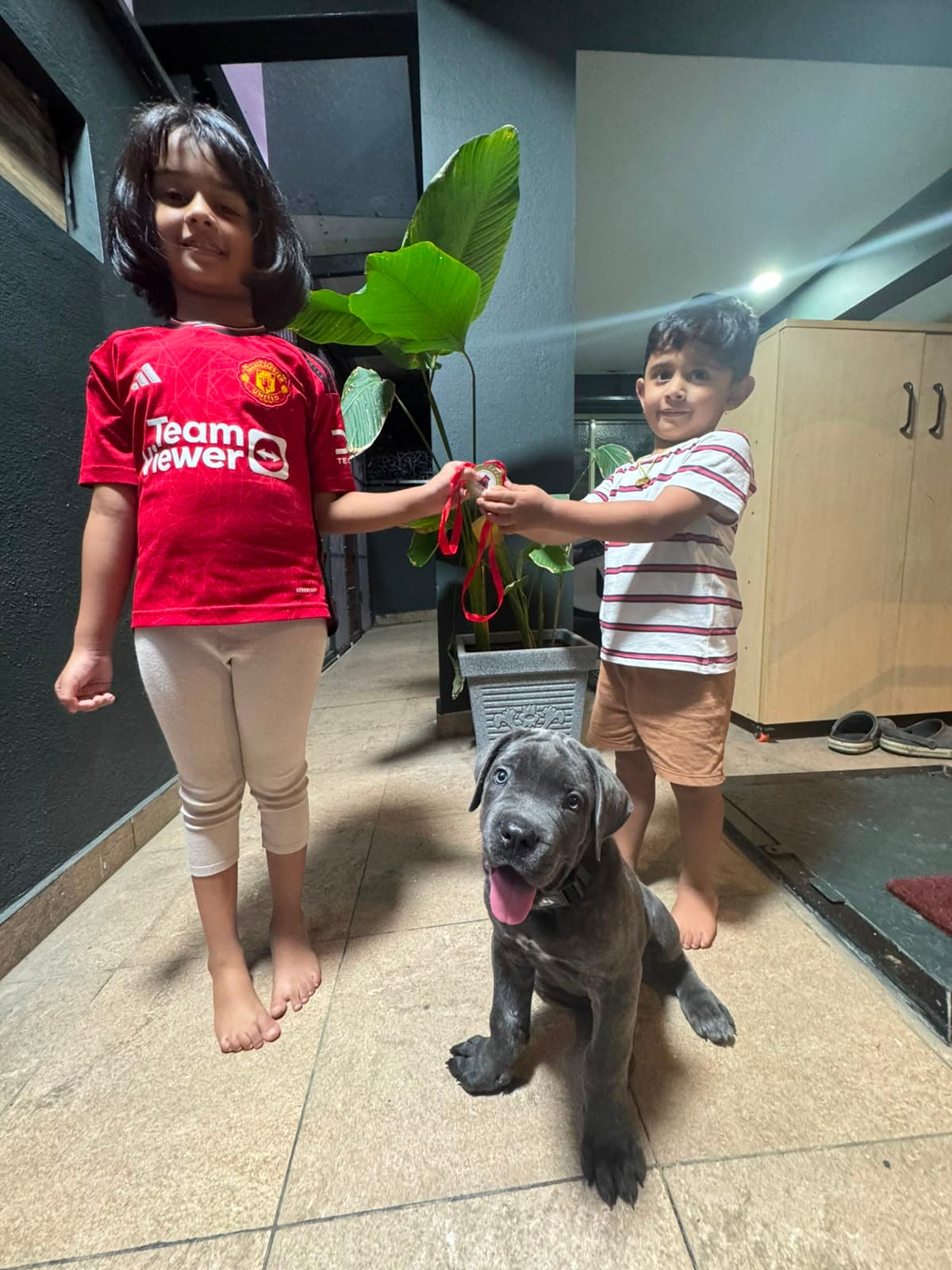Children showing off a medal beside their Cane Corso puppy
