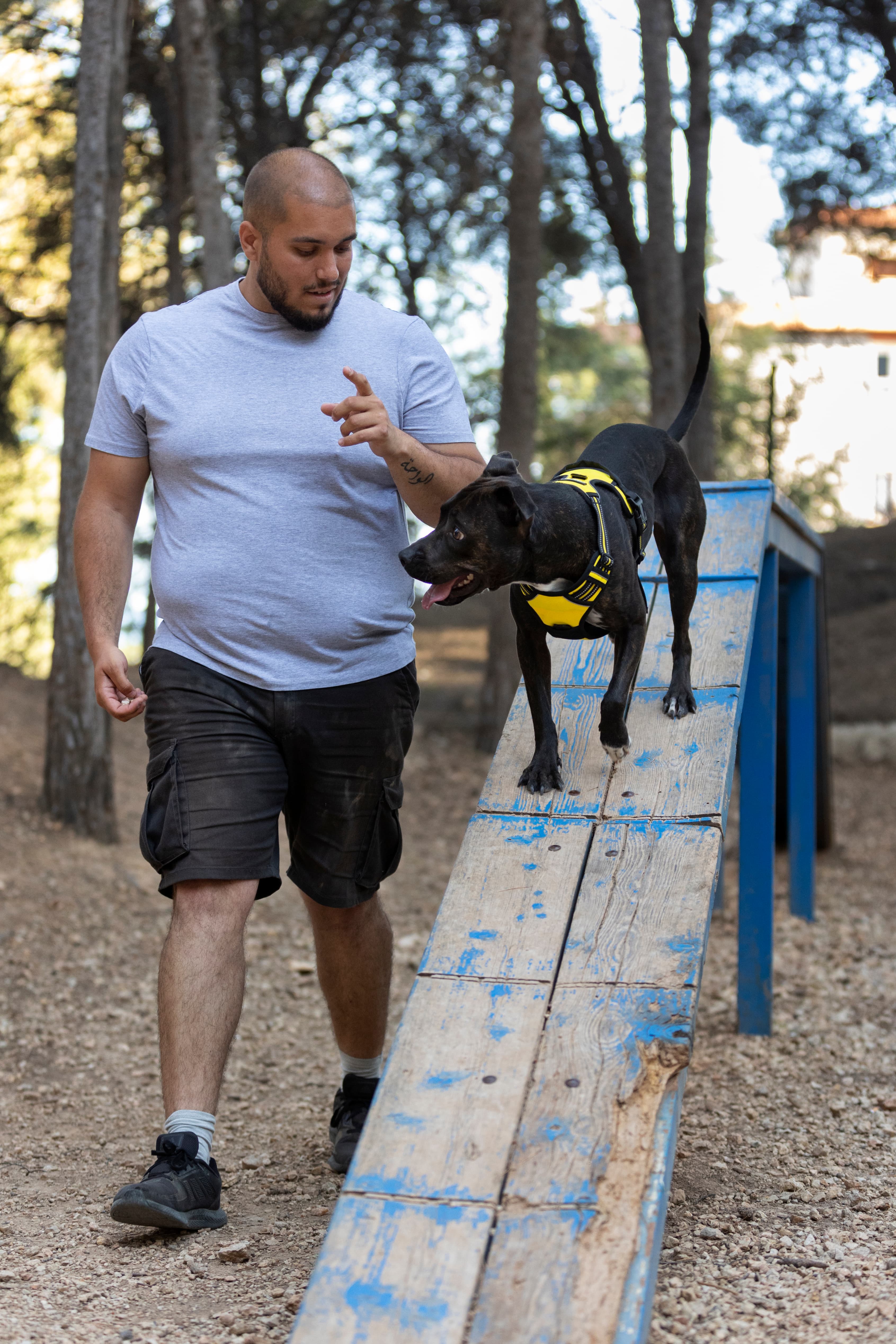 Dog training