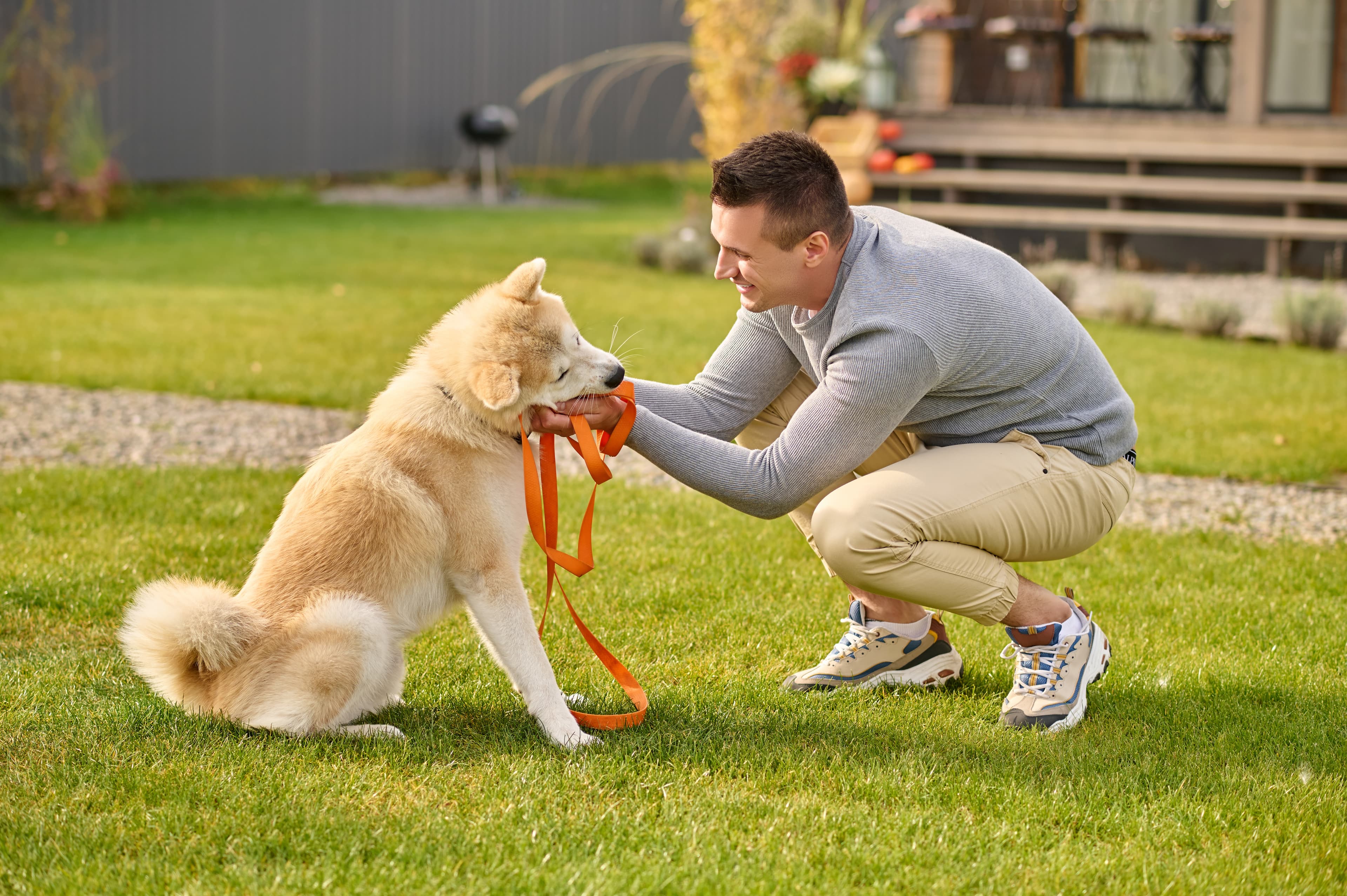 Dog behaviour correction session with a certified trainer in Bangalore